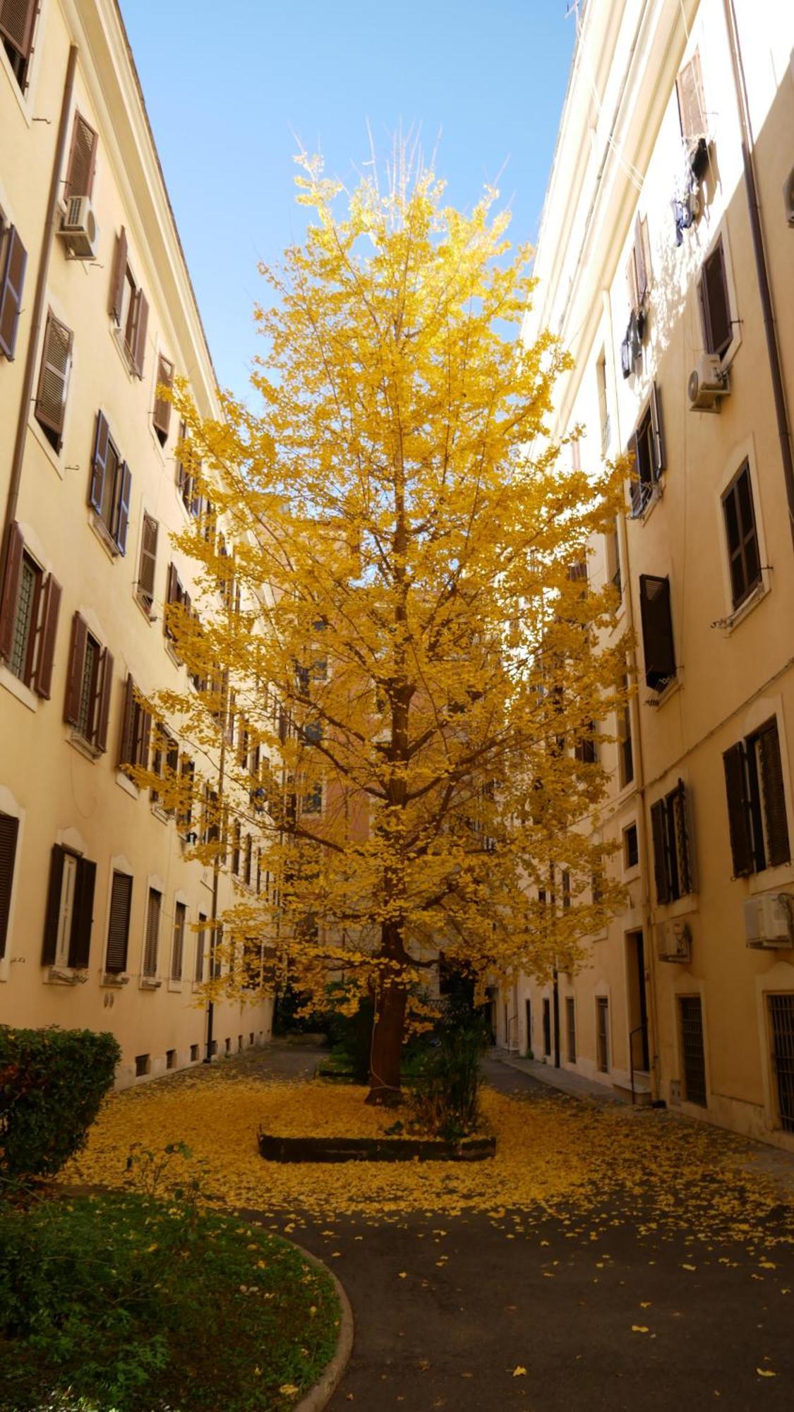Vera Suite&apartment - Charming 3 Bedroom - 20min Walk From Colosseum * Rom